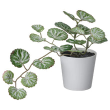 Load image into Gallery viewer, Ikea FEJKA Artificial potted plant with pot, in/outdoor white/green, 6cm