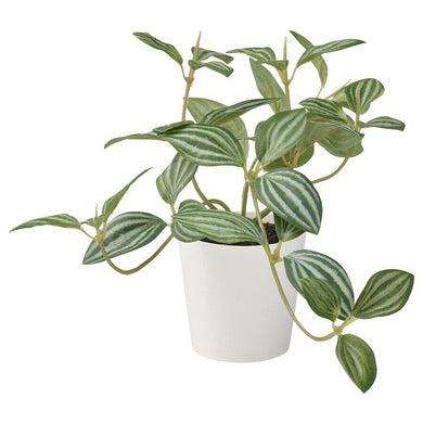 Ikea Artificial potted plant, in/outdoor Decoration, Peperomia, 6cm