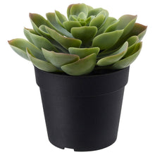 Load image into Gallery viewer, Ikea FEJKA Artificial Potted Plant, in/outdoor Home Succulent Plant, [1pack]