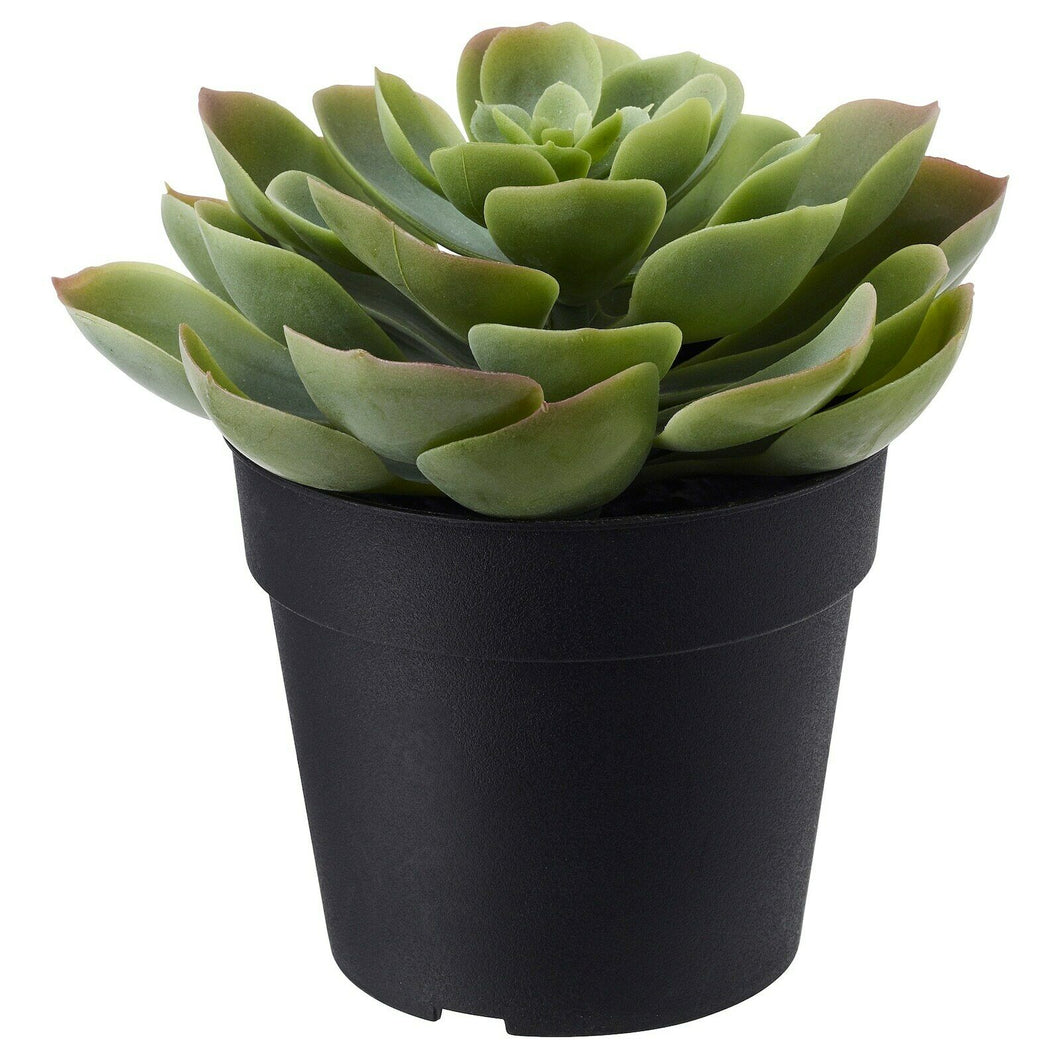 Ikea FEJKA Artificial Potted Plant, in/outdoor Home Succulent Plant, [1pack]