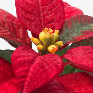 Ikea FEJKA Artificial Christmas Potted Plant, In/Outdoor, Poinsettia red 6cm