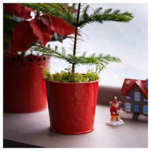 Load image into Gallery viewer, Ikea VINTERFINT Christmas Plant pot, red, 9cm