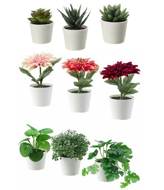 Ikea FEJKA Artificial Potted Plant, in/outdoor Succulent, 6cm 3Pack