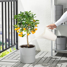 Load image into Gallery viewer, Ikea Plastic Watering Can Container Plant Garden Equipment 2x Colour 1.2lt